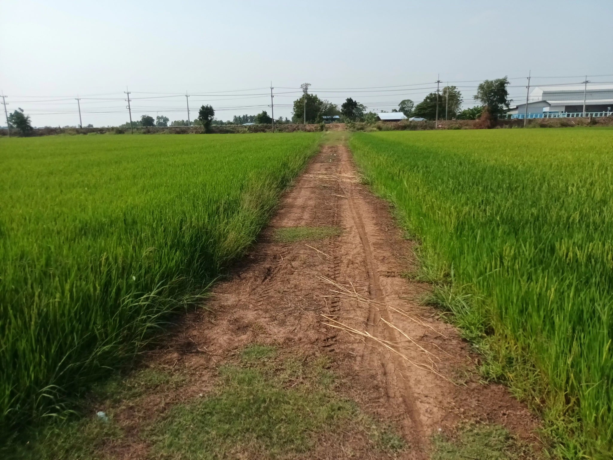 ที่ดินที่นา นครสวรรค์ 10-2-0