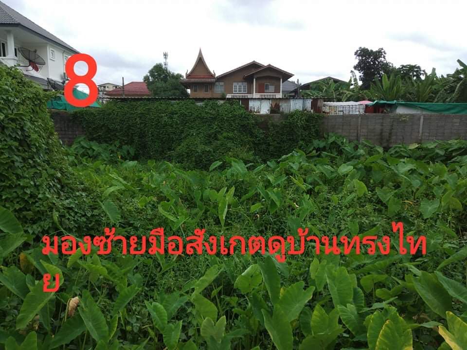 ที่ดินเปล่า นนทบุรี 0-1-0