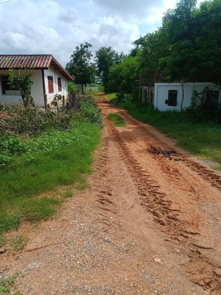 ขายที่ดิน เมืองชัยภูมิ ชัยภูมิ 4-3-29