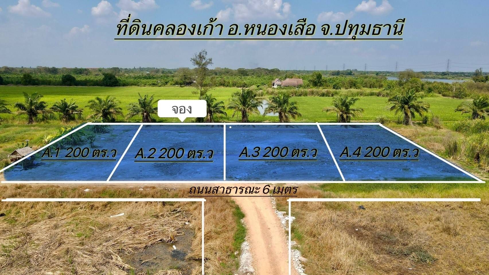 ขายที่ดินปทุมธานี แบ่งแปลงขาย แปลงสวย ทำเลงาม หนองเสือ ปทุมฯ 0-2-0