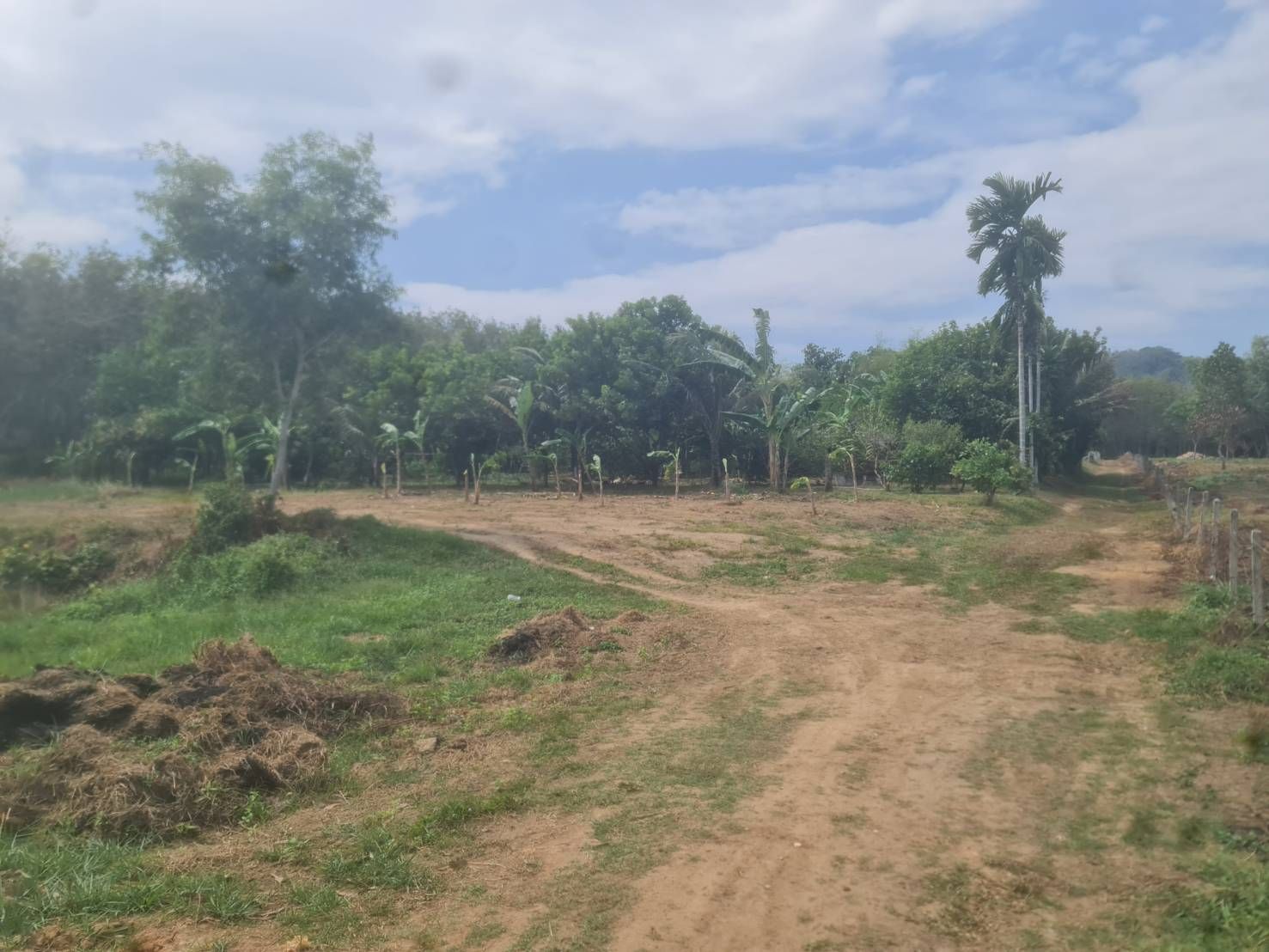 ขายที่ดินภูเก็ต ตำบลเทพกระษัตรี ถลาง ใกล้ BOTANITCA Foresta