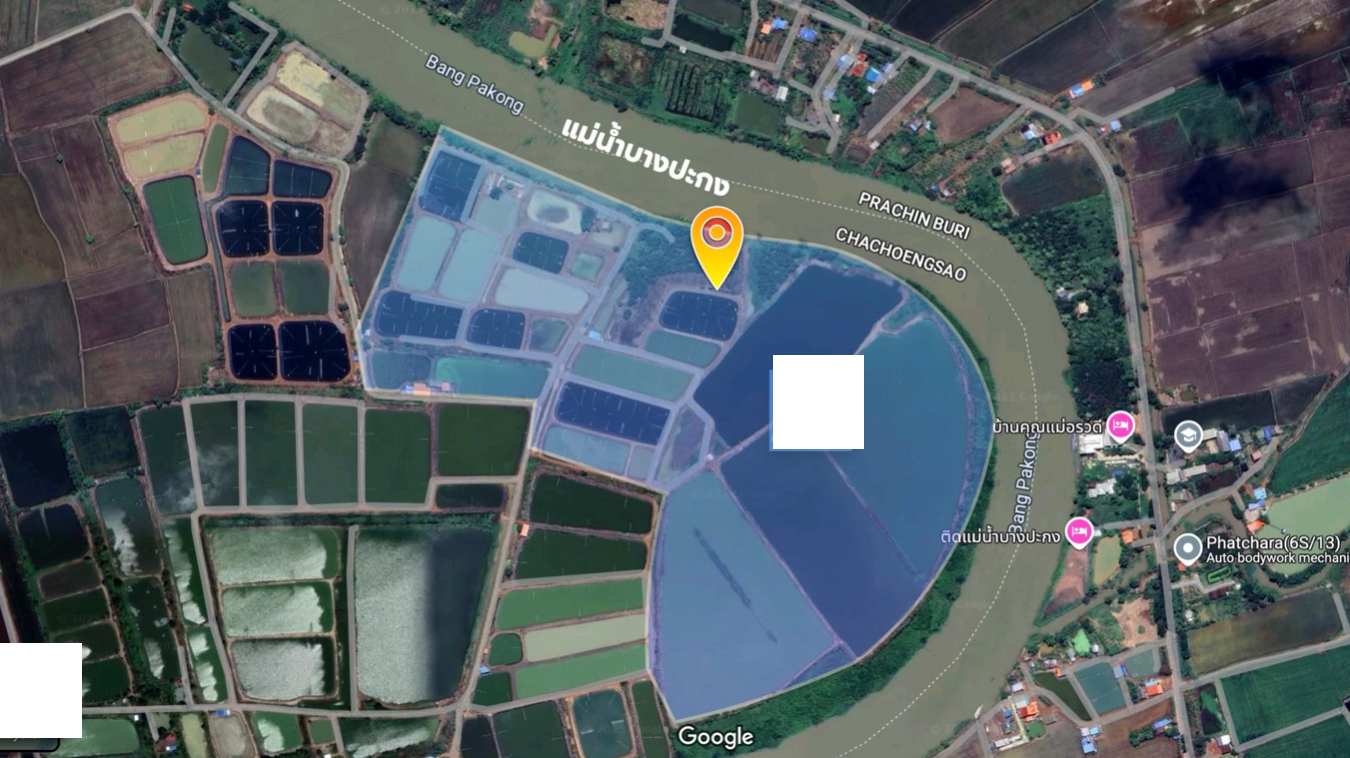 ที่ดินติดแม่น้ำบางปะกง (ท้องมังกร) หน้ากว้างกว่า 1.2 กม. 179 ไร่ หันหน้าทิศตะวันออก อีกด้านติด ถ.สาธารณะ ใกล้กับ กทม.มากที่สุดใน 3 จ. EEC (English is below)