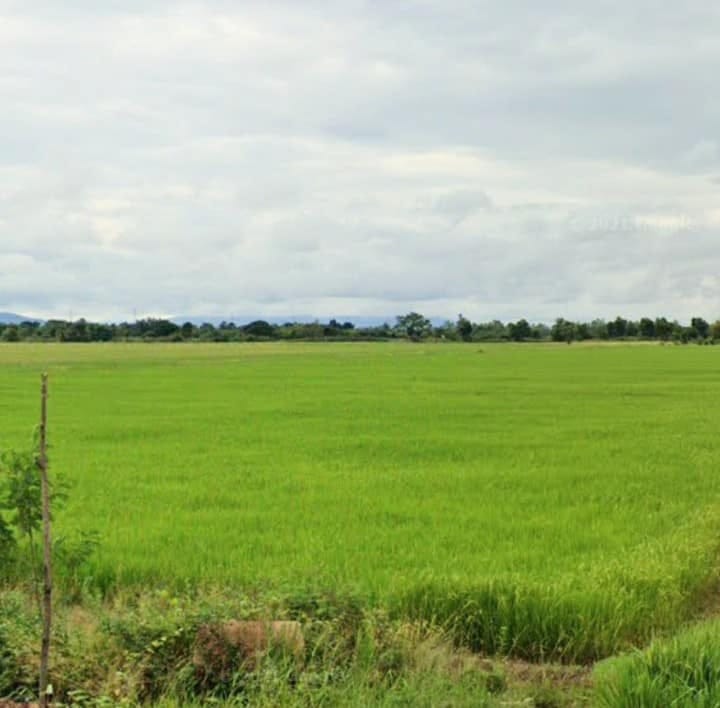 ขายที่นาราคาถูก อุตรดิตถ์ 6-3-83