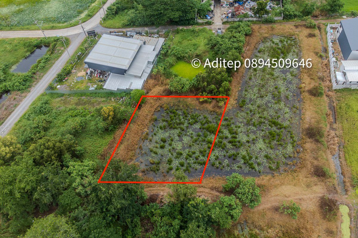 ขายด่วน! ที่ดินเปล่า 317 ตร.ว. คลองโยง-พุทธมณฑล ราคาดีใกล้เคียงราคาประเมิน ใกล้มหิดล ศาลายา เดินทางเข้ากรุงเทพสะดวก!