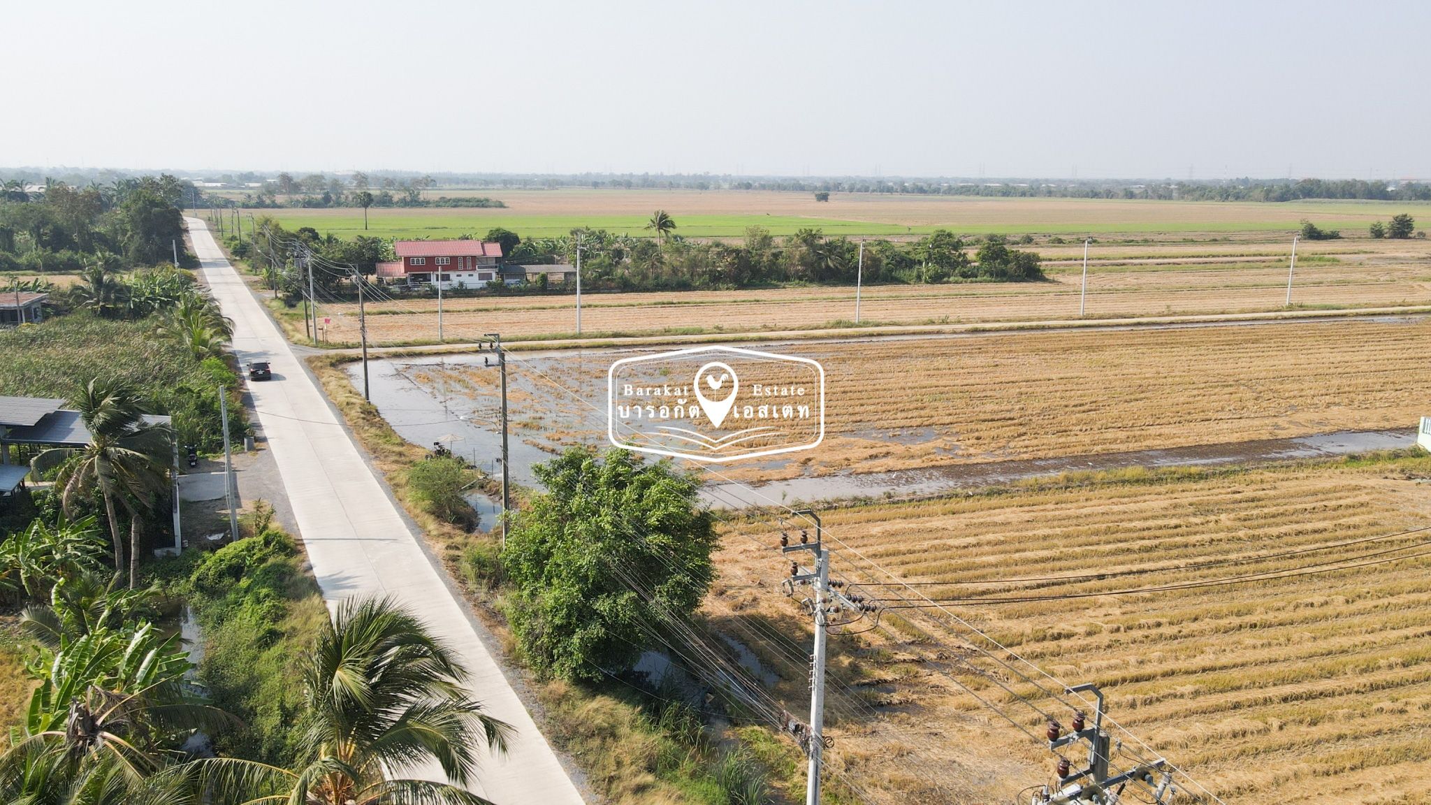 ขายด่วน !! แปลงสวยราคาถูก ห่างจากถนนใหญ่ 600 เมตร ใกล้ โรงเรียนวัดสามง่าม 