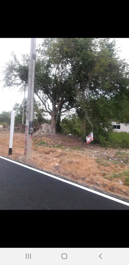 ที่ดินเปล่า สงขลา 0-1-78.8