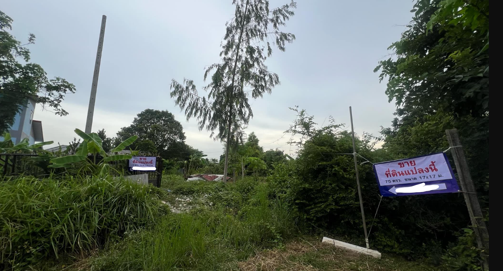 ที่ดินสระบุรี กุดนกเปล้า ที่ดินถมแล้ว ที่ดินในเมือง 75ตรว. พร้อมปลูกบ้าน