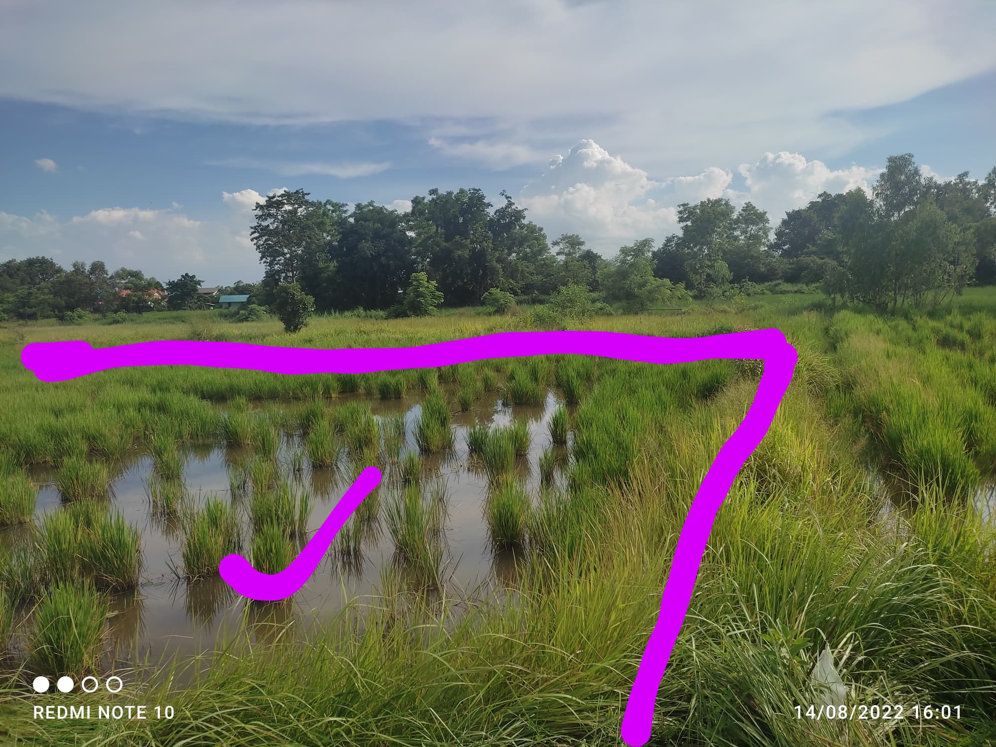 ขายที่ดินสวยสี่แยกช้าง อ.เมืองนครนายก จ.นครนายก 2-2-77.2 ไร่