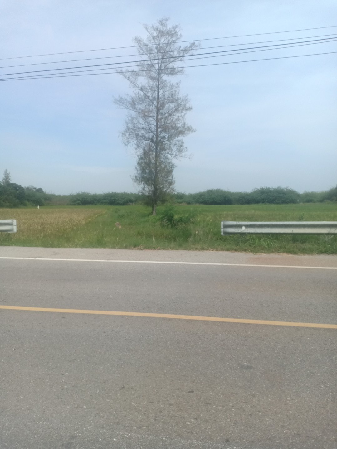 ที่ดินเปล่า เพชรบุรี 6-1-44