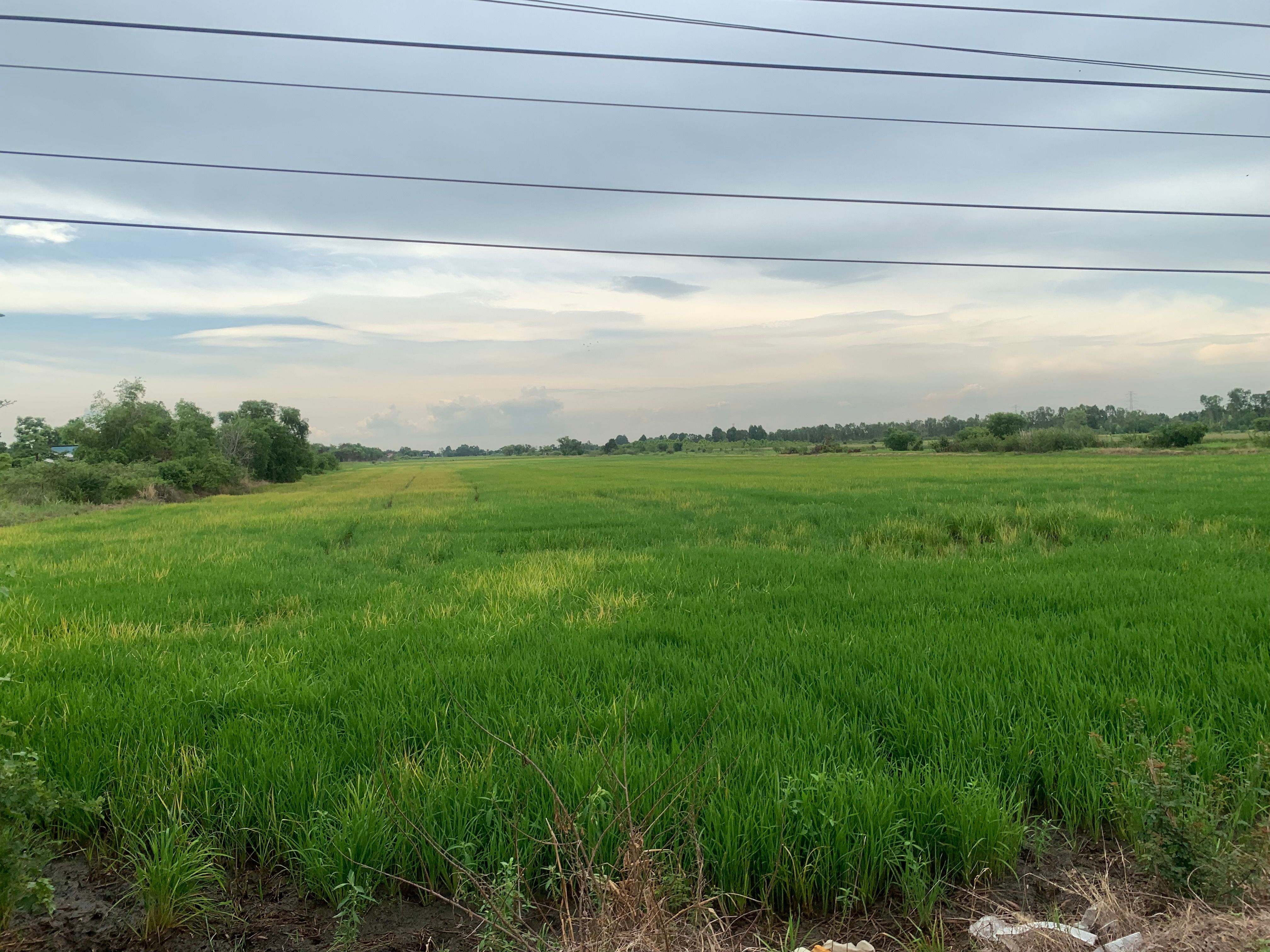 ขายที่สวยๆ