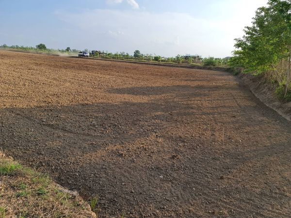 ที่เปล่าโฉนดครุฑแดง บ้านโนนแดง ต.บุ่งคล้า อ.เมือง จ.ชัยภูมิ  14-0-56