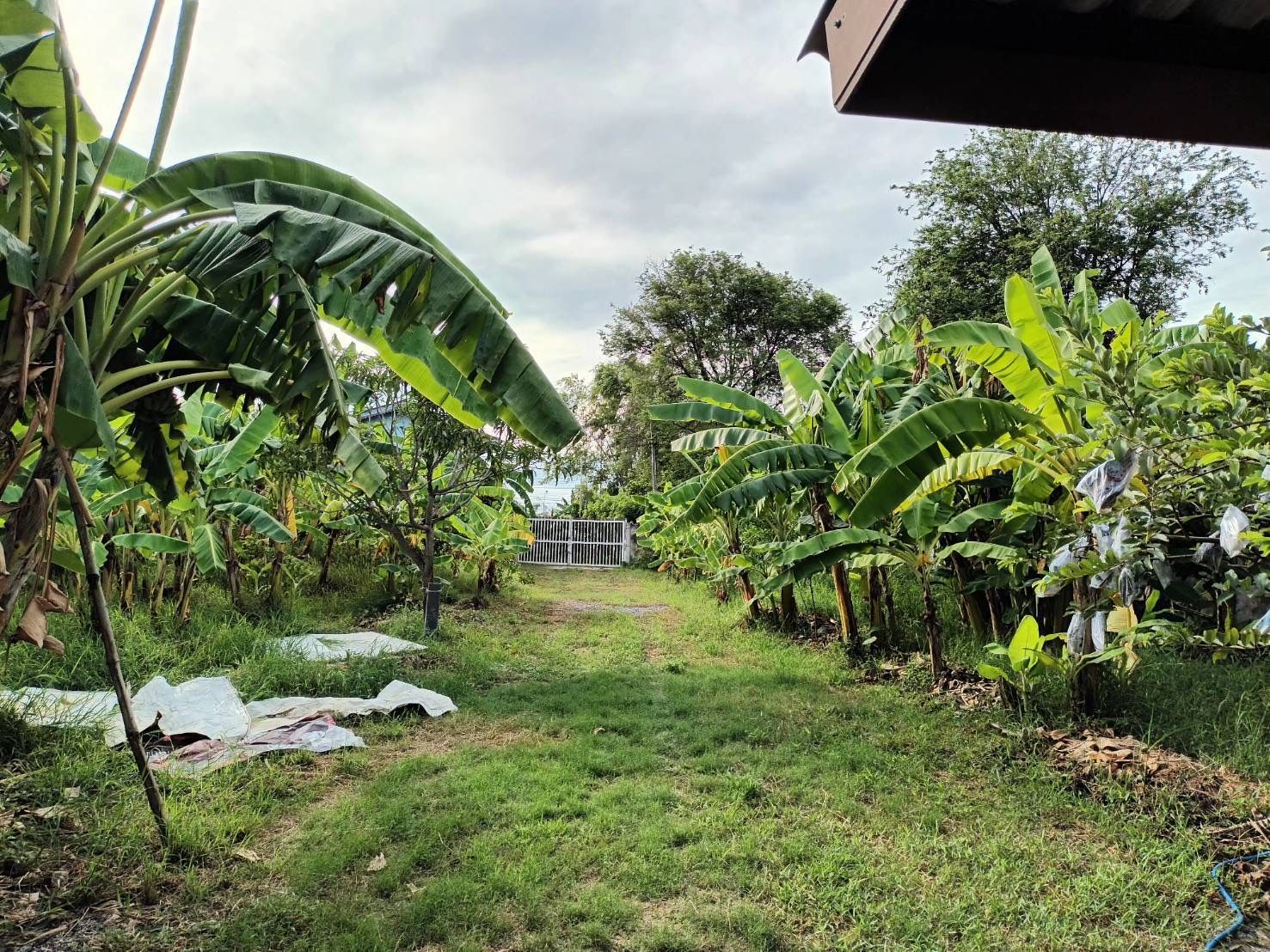 บ้านสวนติดแม่น้ำลพบุรี ใกล้ถนนทางหลวง 3 สาย ใกล้กรุงเทพมหานคร @พระนครศรีอยุธยา