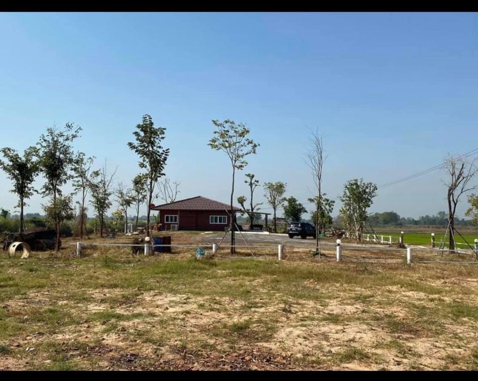บ้าน พร้อมที่ดิน วังทอง 5-1-34