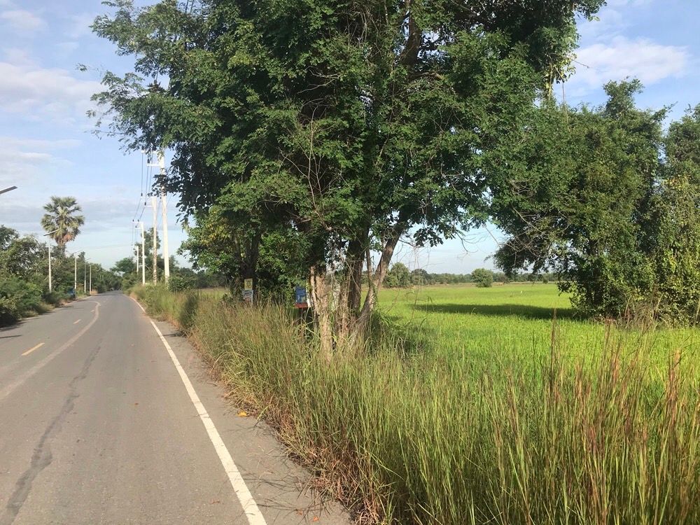ขายที่ดินติดถนนดำทั้ง 2 ฝั่ง ใกล้ชุมชนและอยู่ใกล้ทางขึ้นและลงทางด่วนสายบางประอิน โคราช