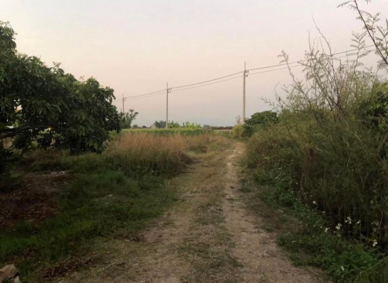 ที่ดินสวนลำไย อำเภอ สันป่าตอง จังหวัด เชียงใหม่ 1-3-5 ไร่