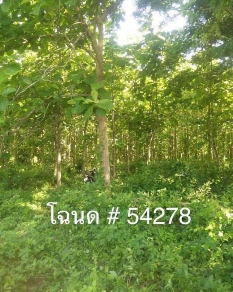 ที่ดินสวนไม้สัก 5 ไร่ 23 ตร.ว. อ.เกาะคา จ.ลำปาง