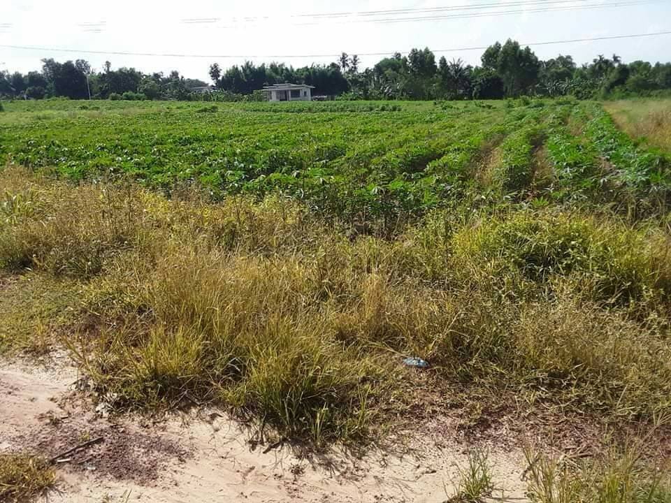 ขายที่ดิน ปราจีนบุรี 1-2-57 ไร่