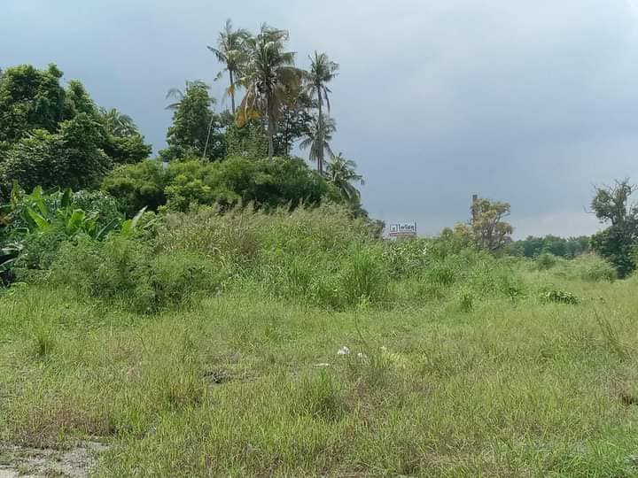 ขายที่ดิน ลพบุรี 1-2-0 ไร่