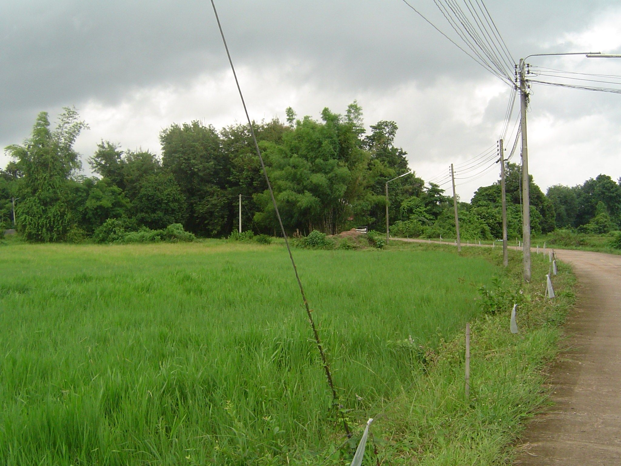 Land for Sale – 6,112 sqm in Makham Sung, Phitsanulok - Quiet Street Near Khwae Noi River