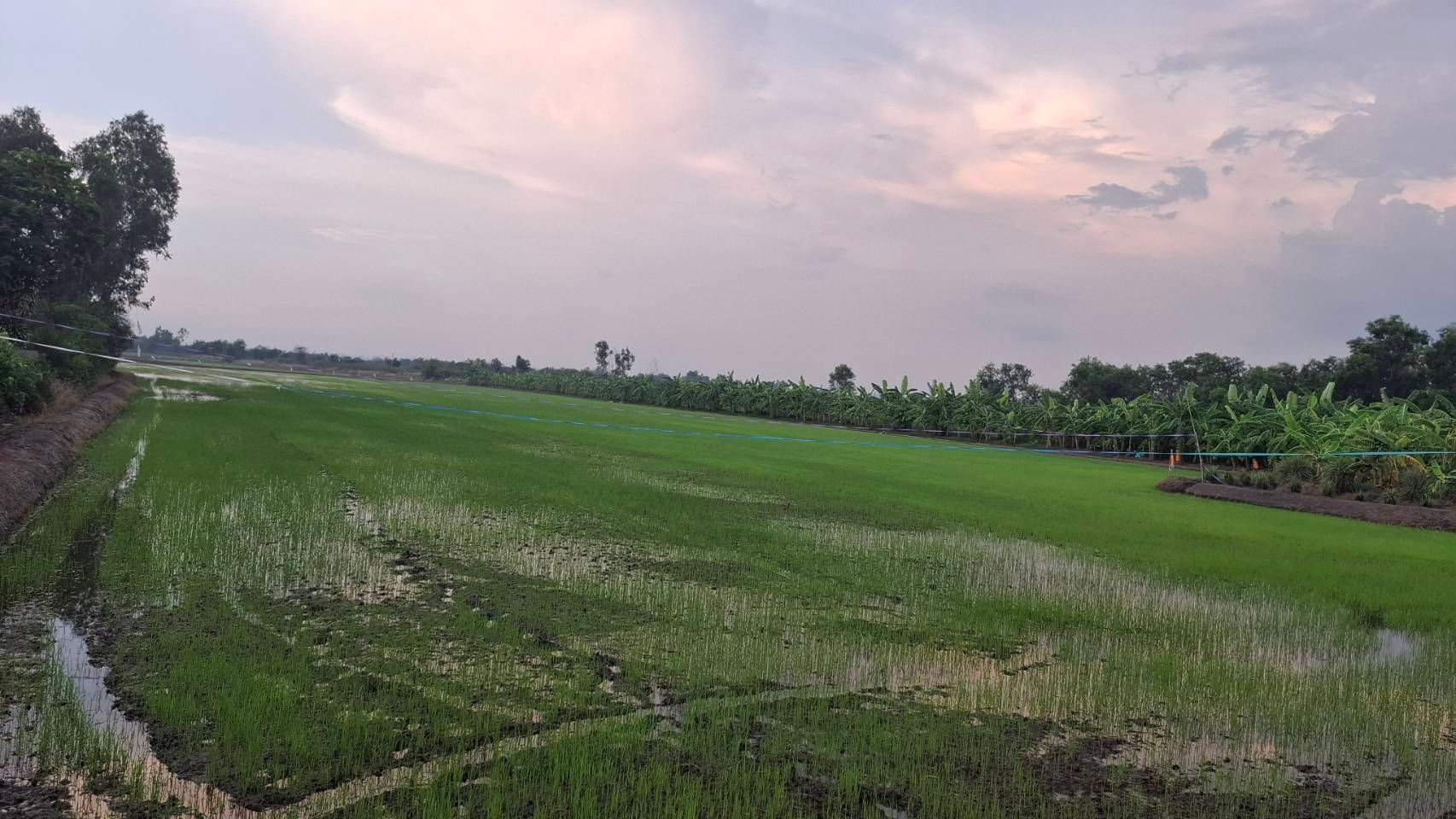 ขายที่ดินนครนายก(ด่วน)