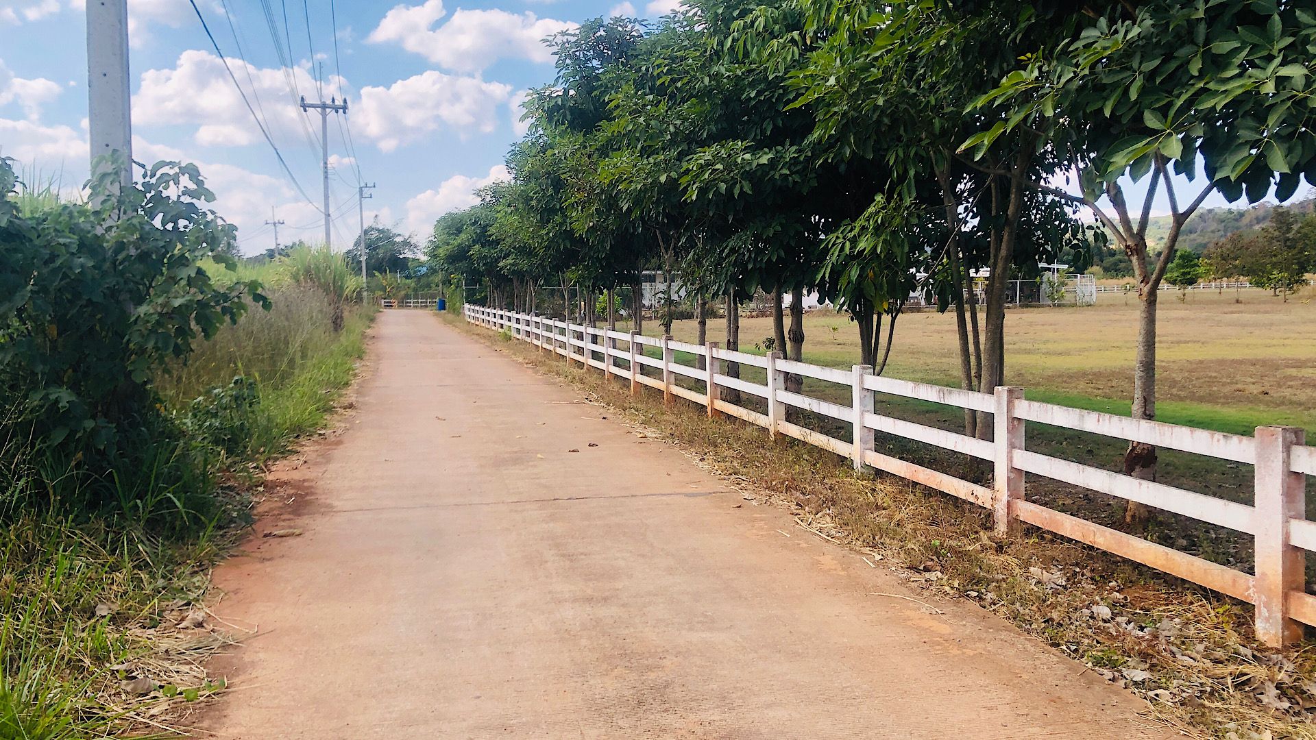 ขายที่ดินนครราชสีมา ปากช่อง เขาใหญ่