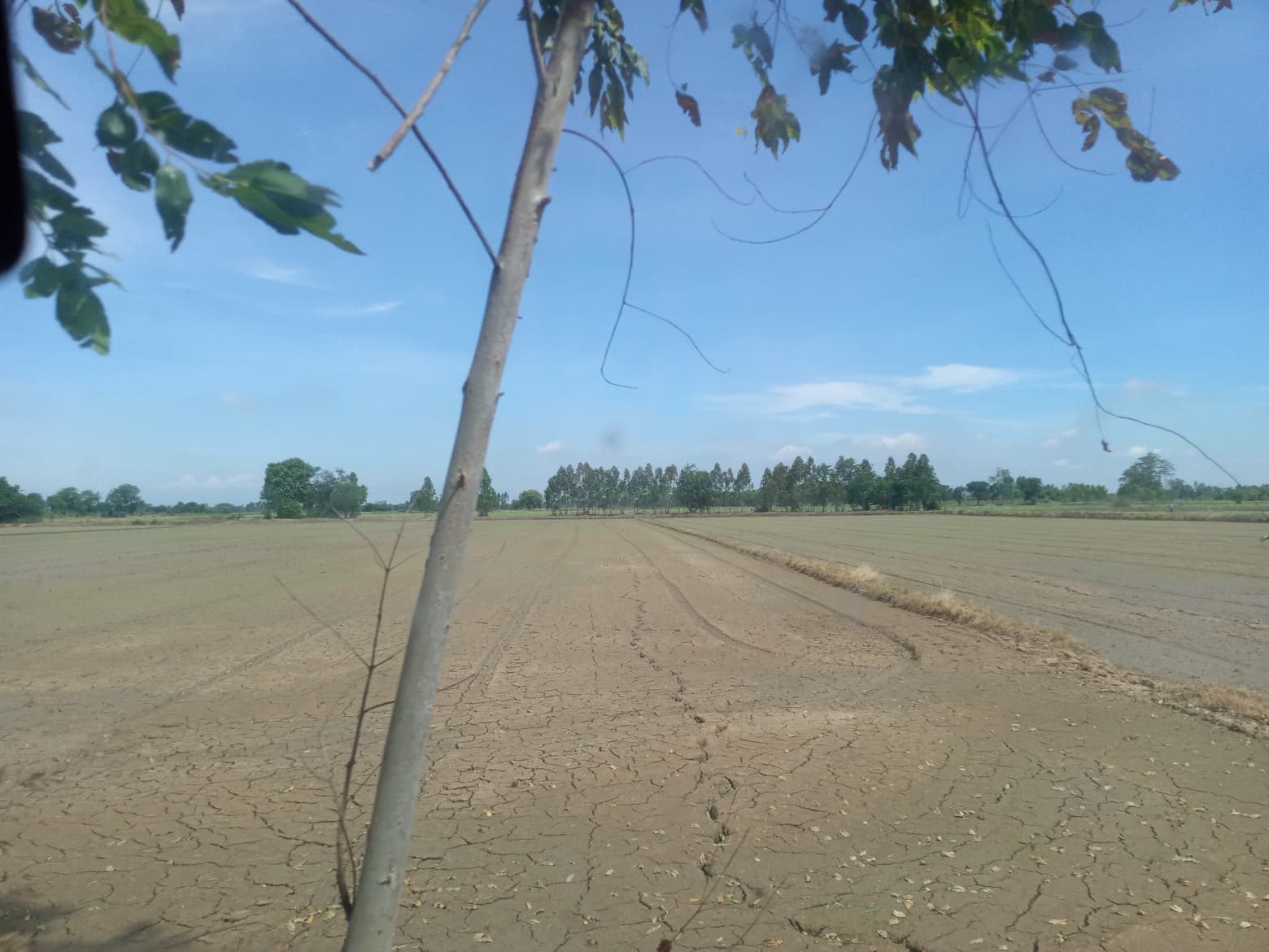 ที่ดินเปล่า แปลงใหญ่ อ.อินทร์บุรี จ.สิงห์บุรี 35-0-1.3 ไร่