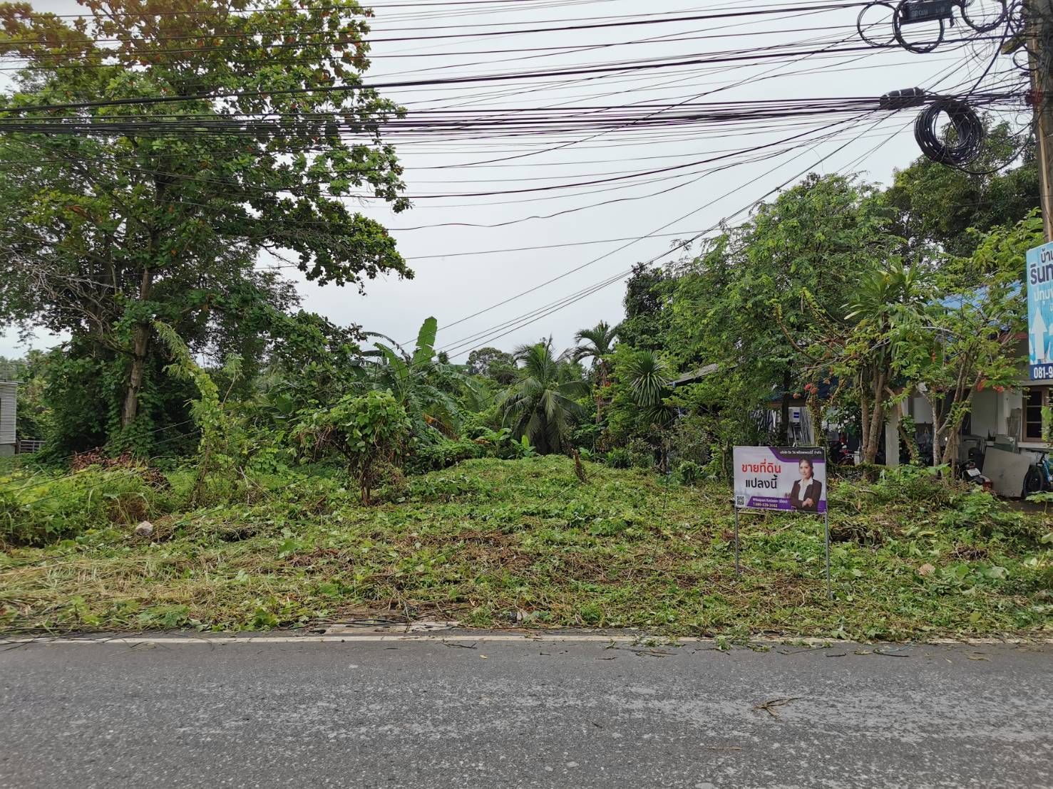 ขายที่ดินริมน้ำใจกลางเมืองสุราษฎร์