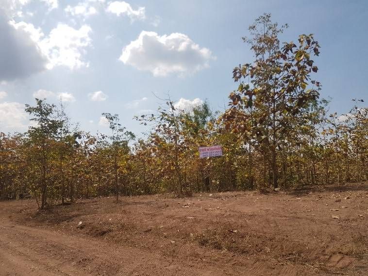 ขายที่ดินเชียงราย อ.พาน ที่ดินแปลงสวย ติดถนนคอนกรีต ใกล้ชุมชน 13-2-44 ไร่.