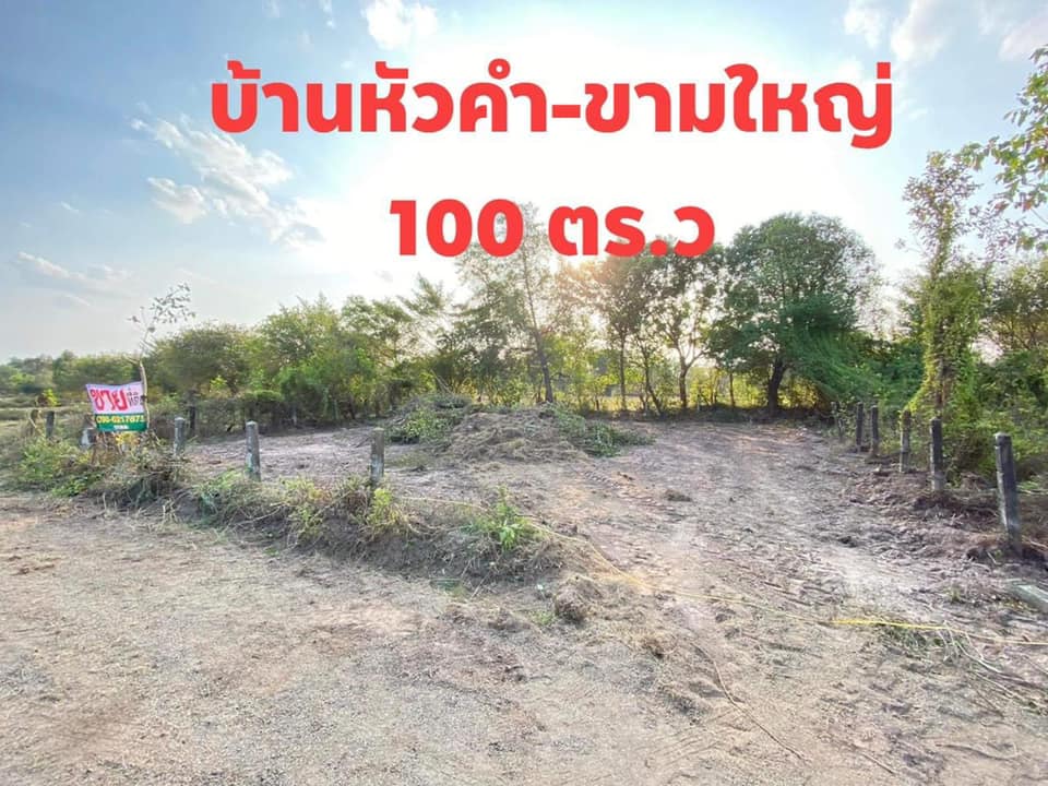 ที่ดิน 100 ตร.วา บ้านหัวคำ อุบลราชธานี