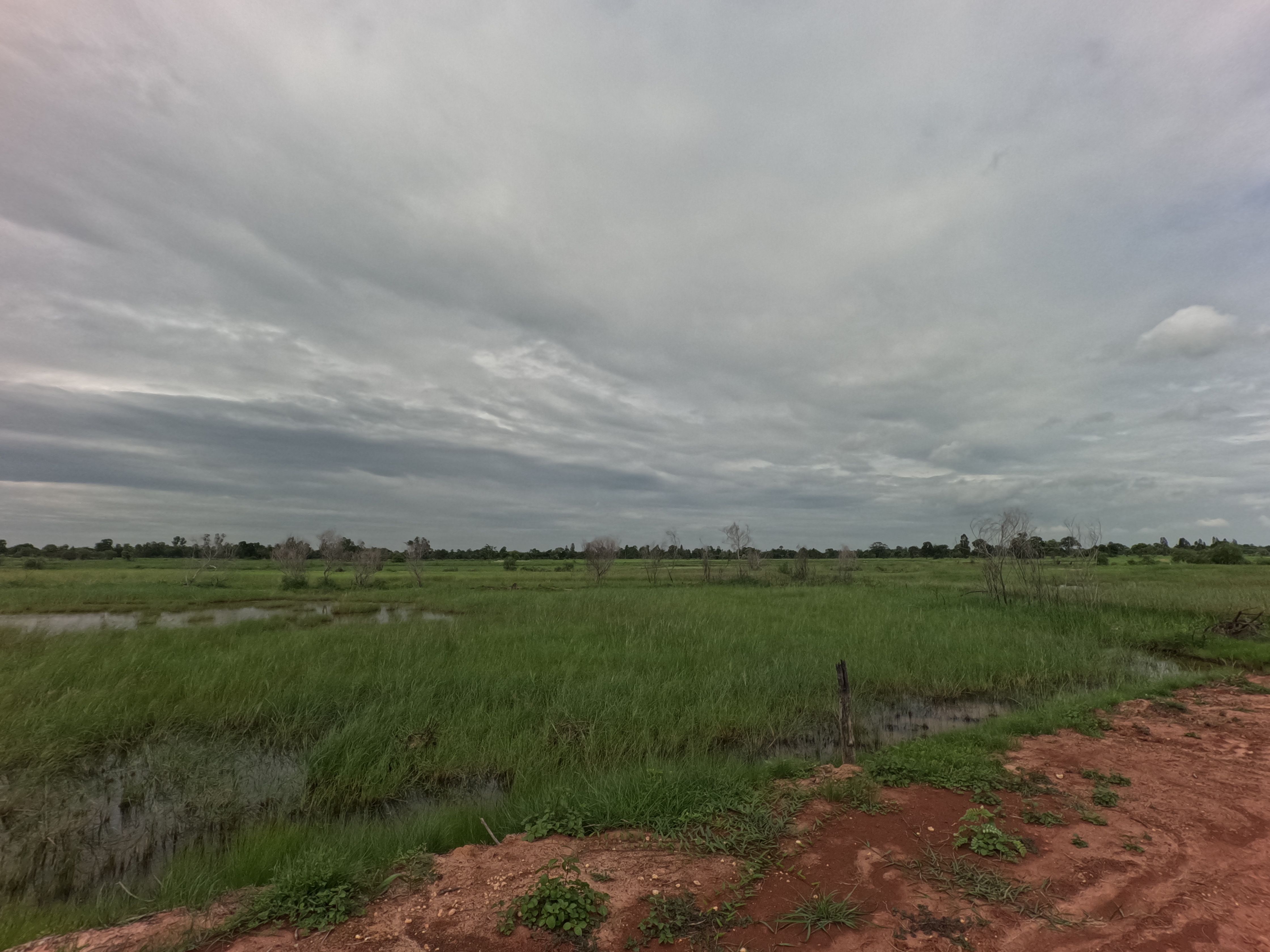 ขายที่ดิน 5 ไร่ บัวใหญ่