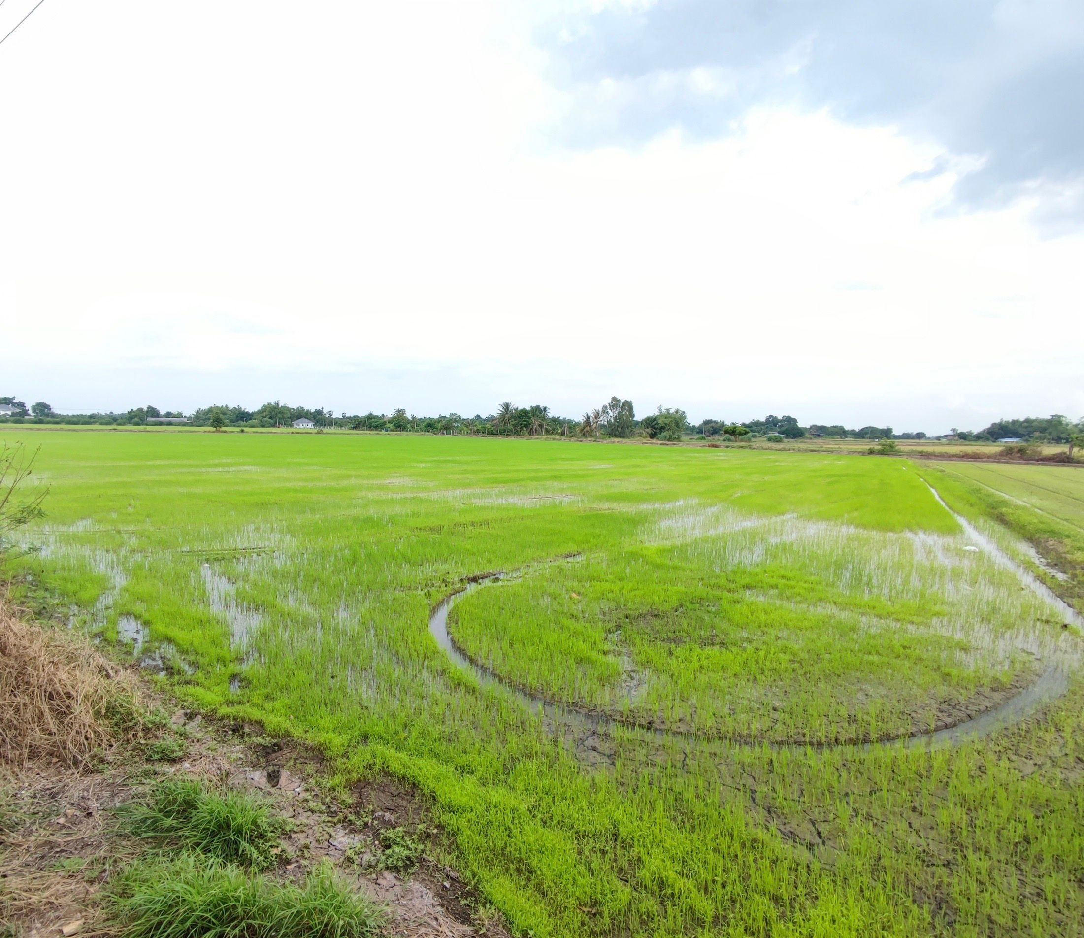 ที่ดิน 4 ไร่ ติดถนน 2 ด้าน ใกล้นิคมอุตสาหกรรม WHA ใกล้ถนนมิตรภาพ หนองแค สระบุรี