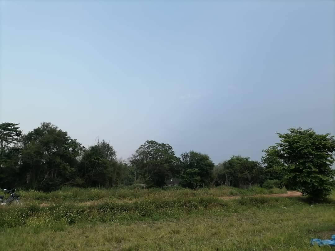 ที่นา วิวดอย ติดน้ำแม่ริม เชียงใหม่ 5-2-22 ไร่