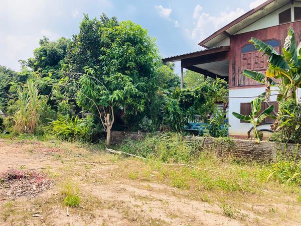 ที่ดินในชุมชนบ้านป่าจี้ ลี้ ลำพูน 143 ตรว.