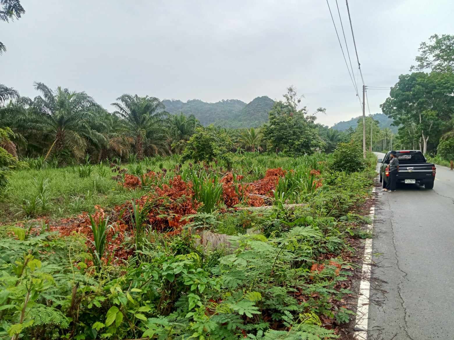 ขายที่ดิน