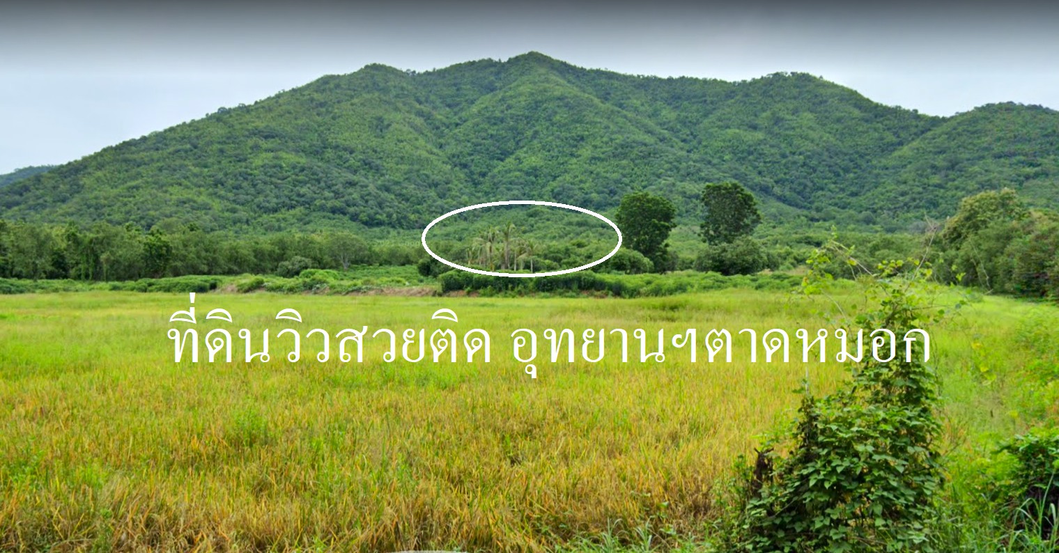ที่ดินสวรมะขามหวาน เมืองเพชรบูรณ์ 4-2-65 ไร่