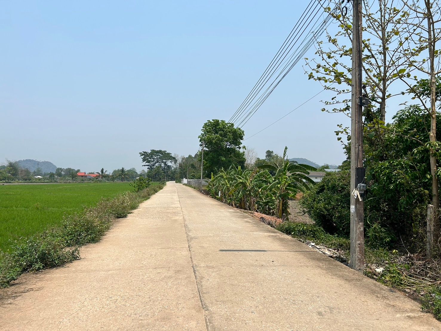 ขายที่ดิน ใกล้ ไร่แม่ฟ้าหลวง เชียงราย 2-3-74.2  ไร่