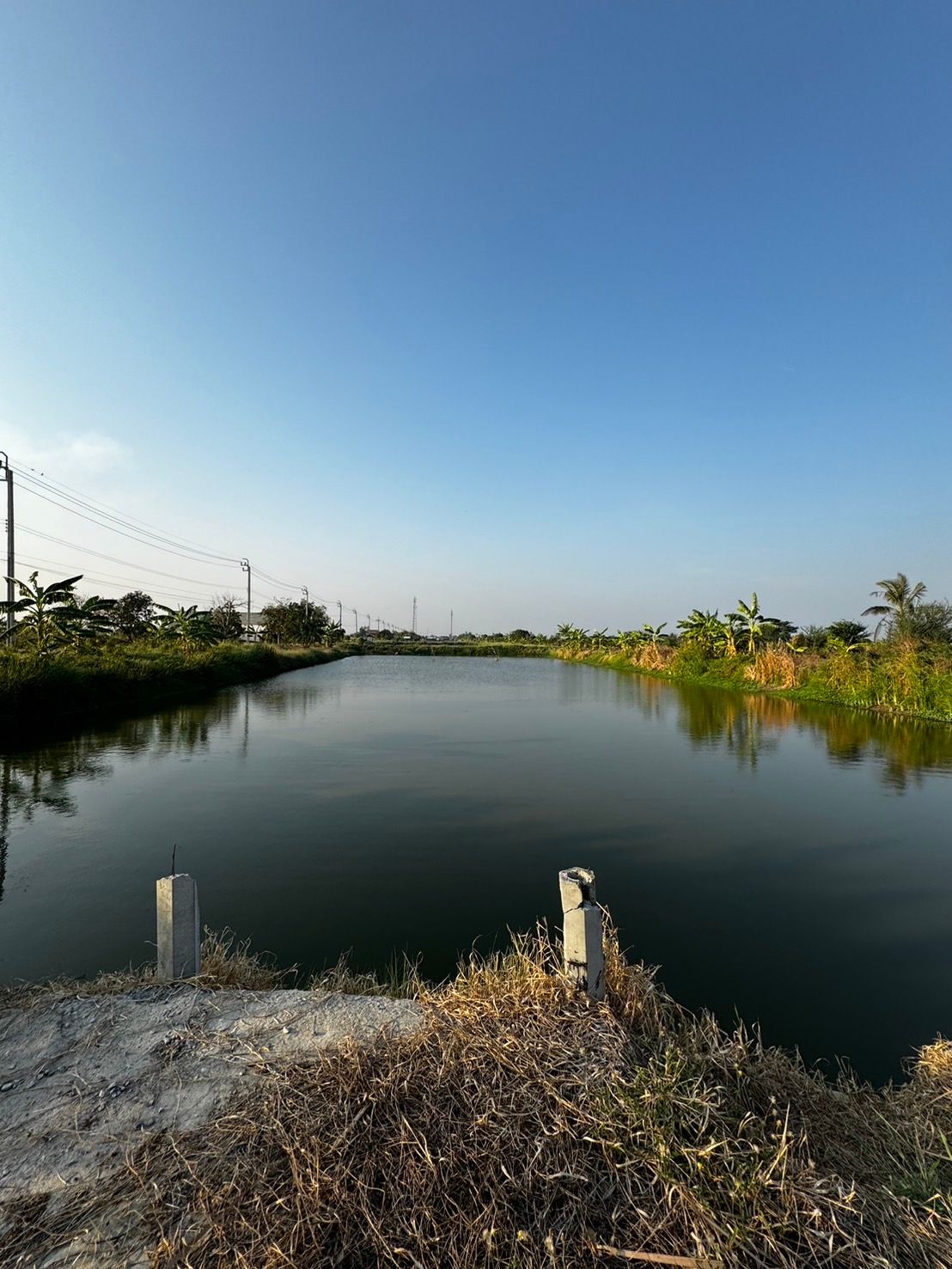 ทำเลทองลาดกระบัง! ขายที่ดินสวย 2 ไร่ 56 ตร.ว. ติดถนนใหญ่ 4 เลนตัดใหม่ ใกล้วัดสุทธโภชน์ ทับยาว