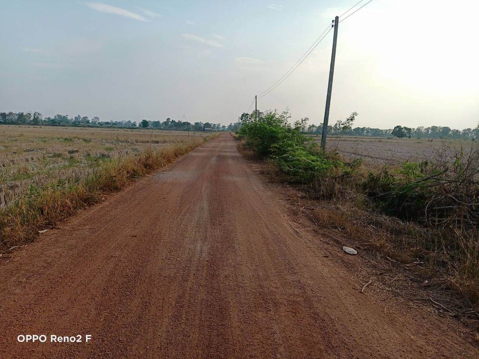 ขายที่ดิน พิษณุโลก เมืองพิษณุโลก 5ไร่