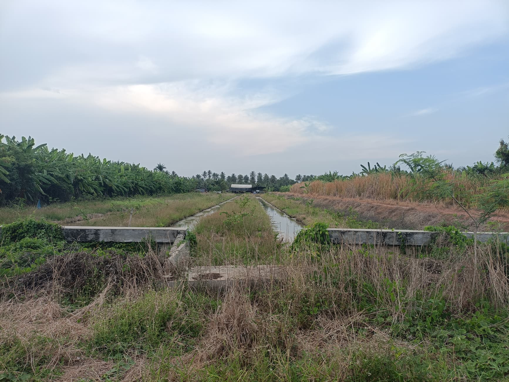ที่ดิน อ.บ้านแพ้ว จ.สมุทรสาคร 4-1-53.6