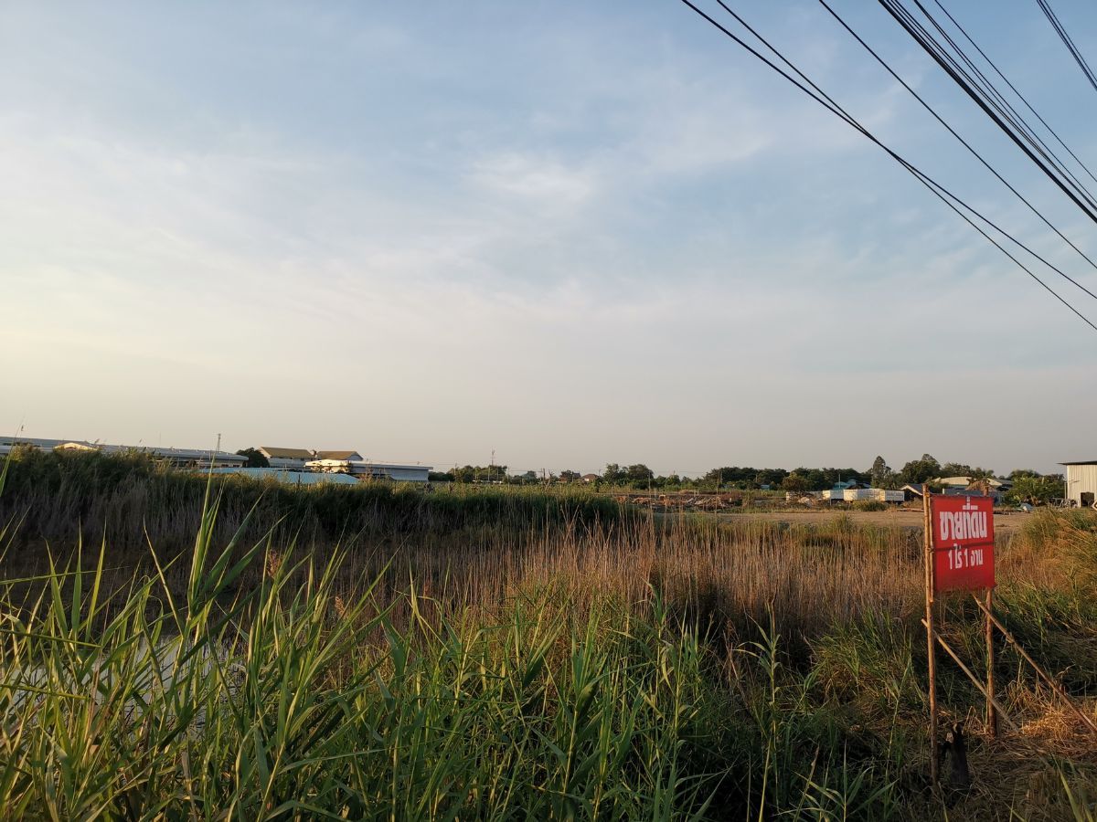 ขายที่ดินคลองข่อย เข้าออก 3 ช่องทาง ใกล้โครงการบ้านแบรนด์ดัง ห่างกาญจนาเพียง 1.3 กม.