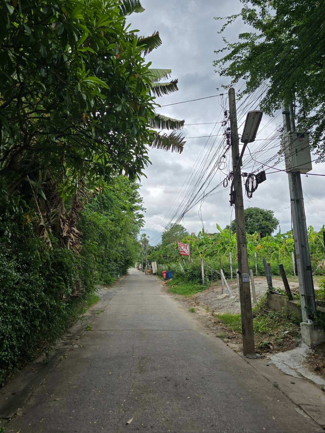ขายที่ดินราชนิกูล ซอย 6 ใกล้ลานย่าโม 68 ตรว. อ. เมือง จ.นครราชสีมา