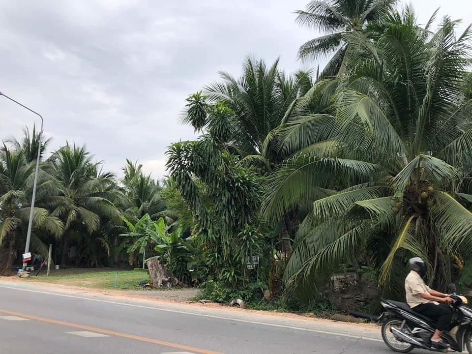 ขายที่ดินติดแม่น้ำแม่ขาย ที่ดินติดแม่น้ำแม่กลอง อยู่ติดอำเภอบางคนทีบางคนที่