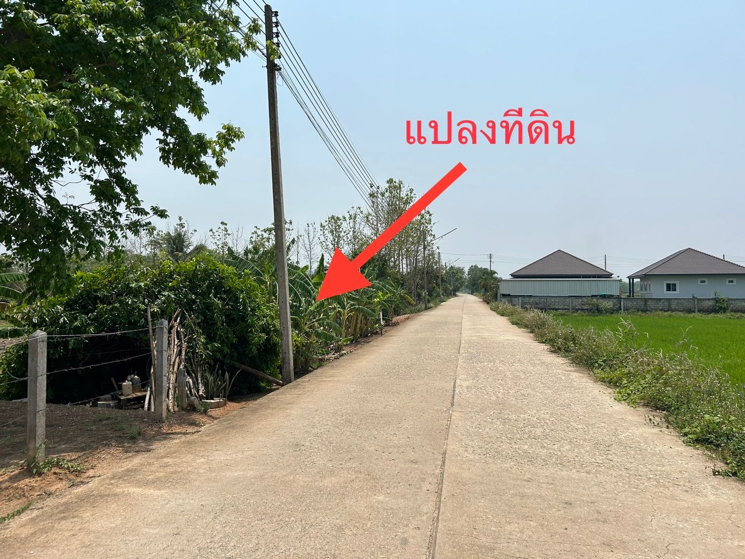 ขายที่ดิน ใกล้ ไร่แม่ฟ้าหลวง เชียงราย 2-3-74.2  ไร่