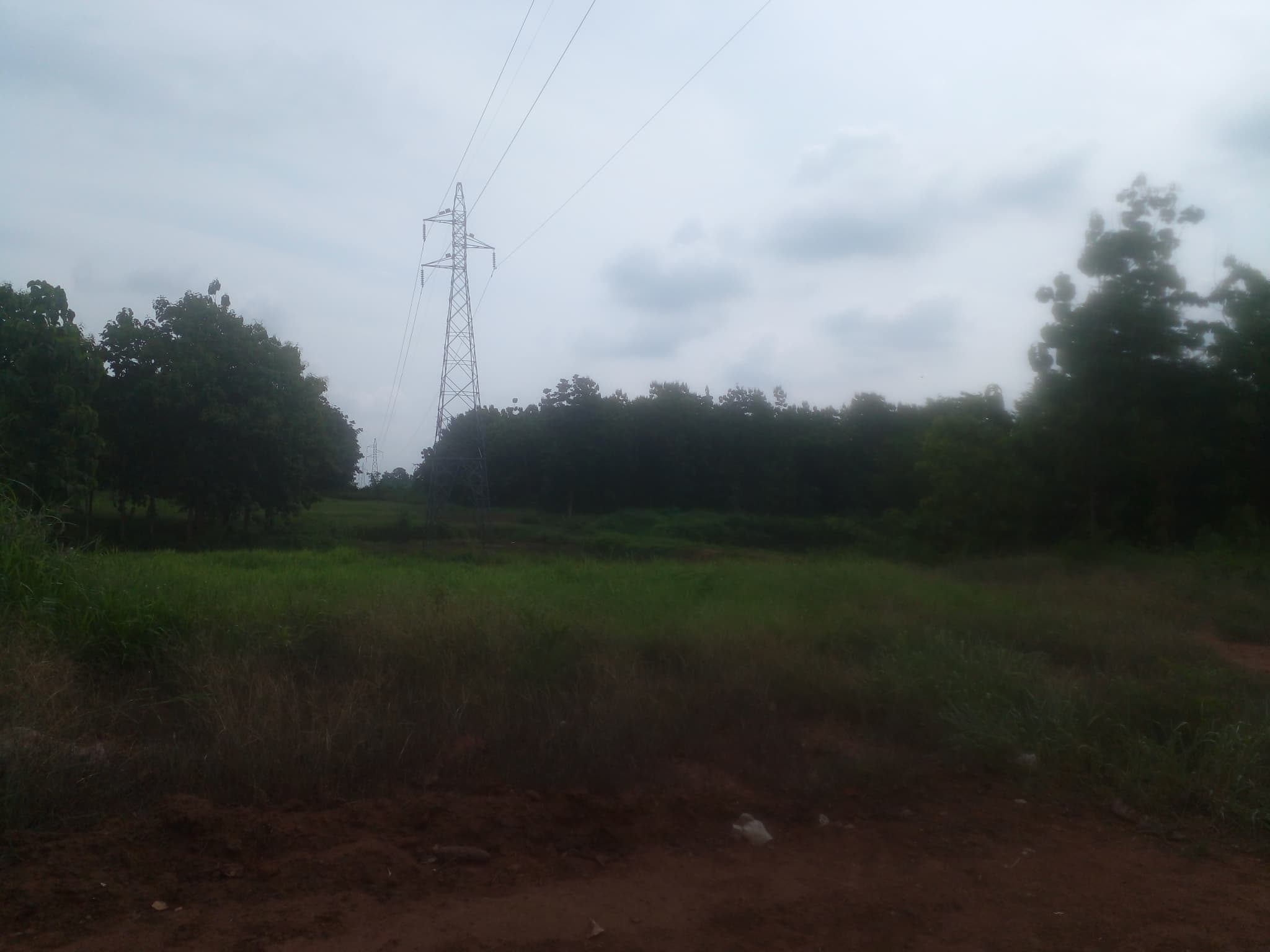 ขายที่ดินเปล่าแปลงใหญ่ เมืองเพชรบูรณ์ 96-1-31