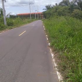 ที่ดินสวนปาล์ม 6ไร่ ประจวบคีรีขันธ์