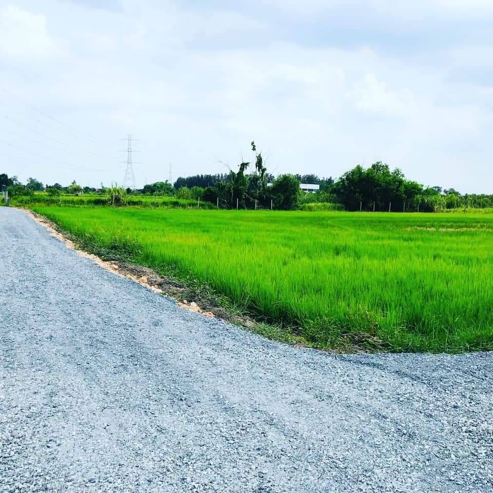 ที่ดินติดถนนติดคลอง