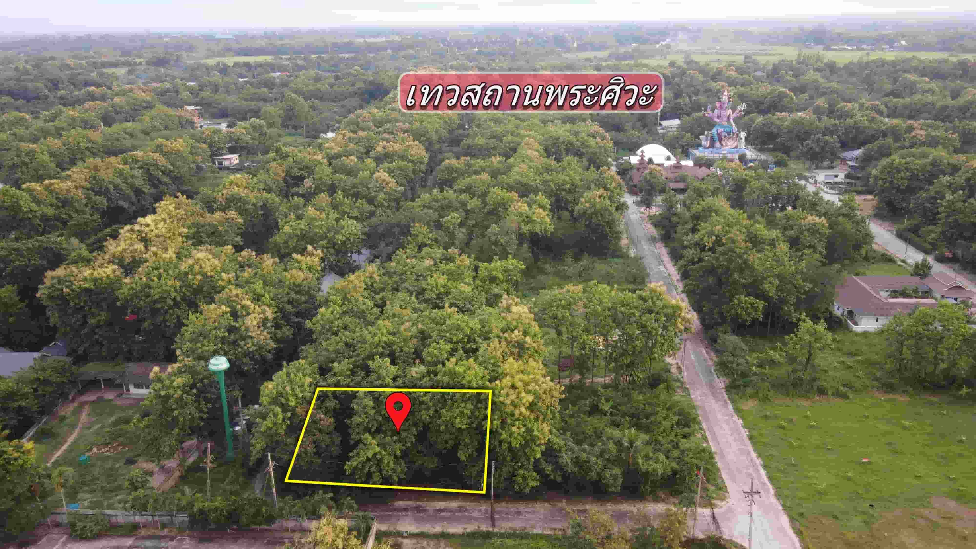 ที่ดิน 287 ตารางวา (ใกล้ถนนสันป่าตอง-แม่วาง 100เมตร ติดถนนสองด้าน)