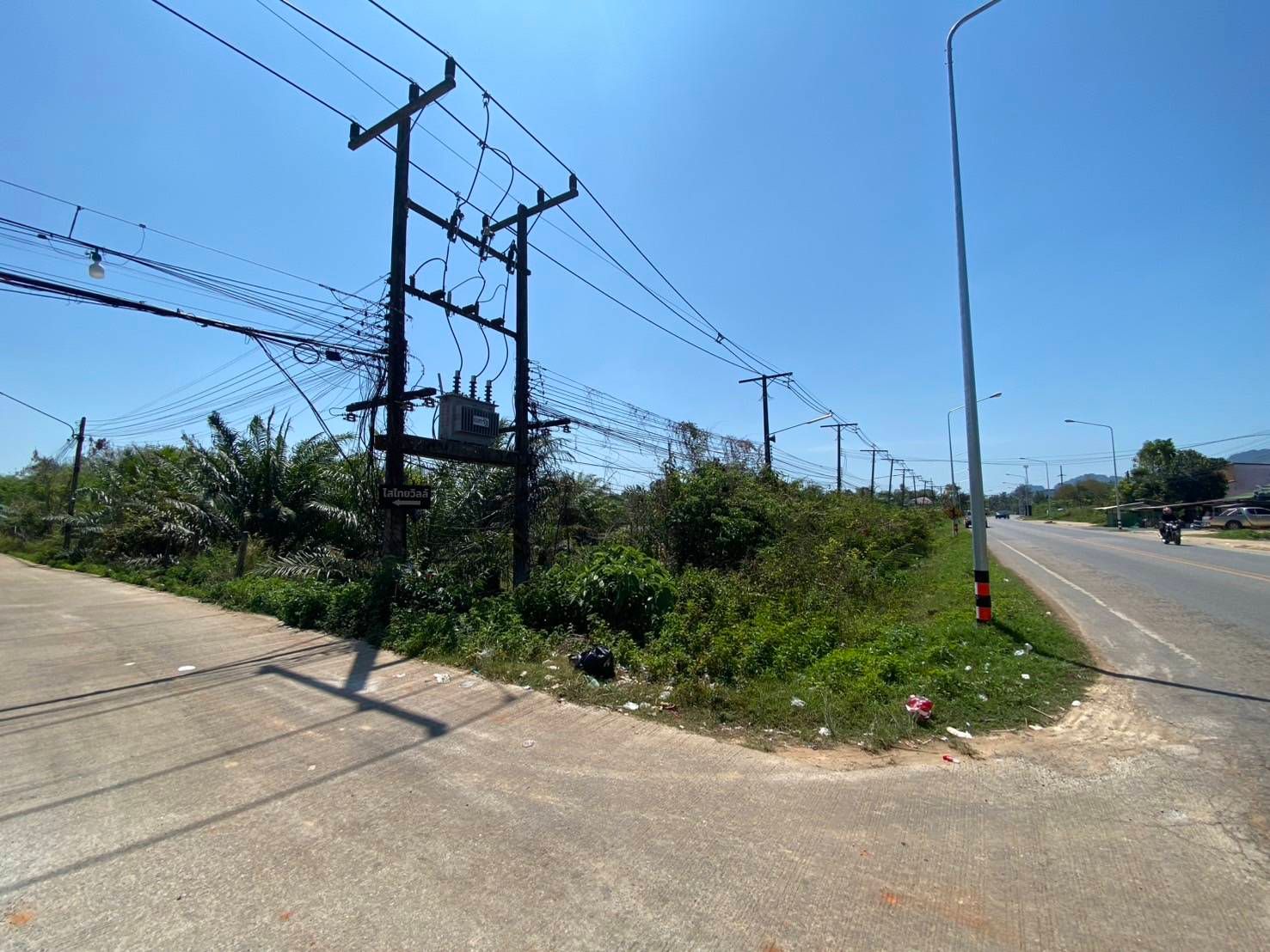 ที่ดินสวนปาล์ม