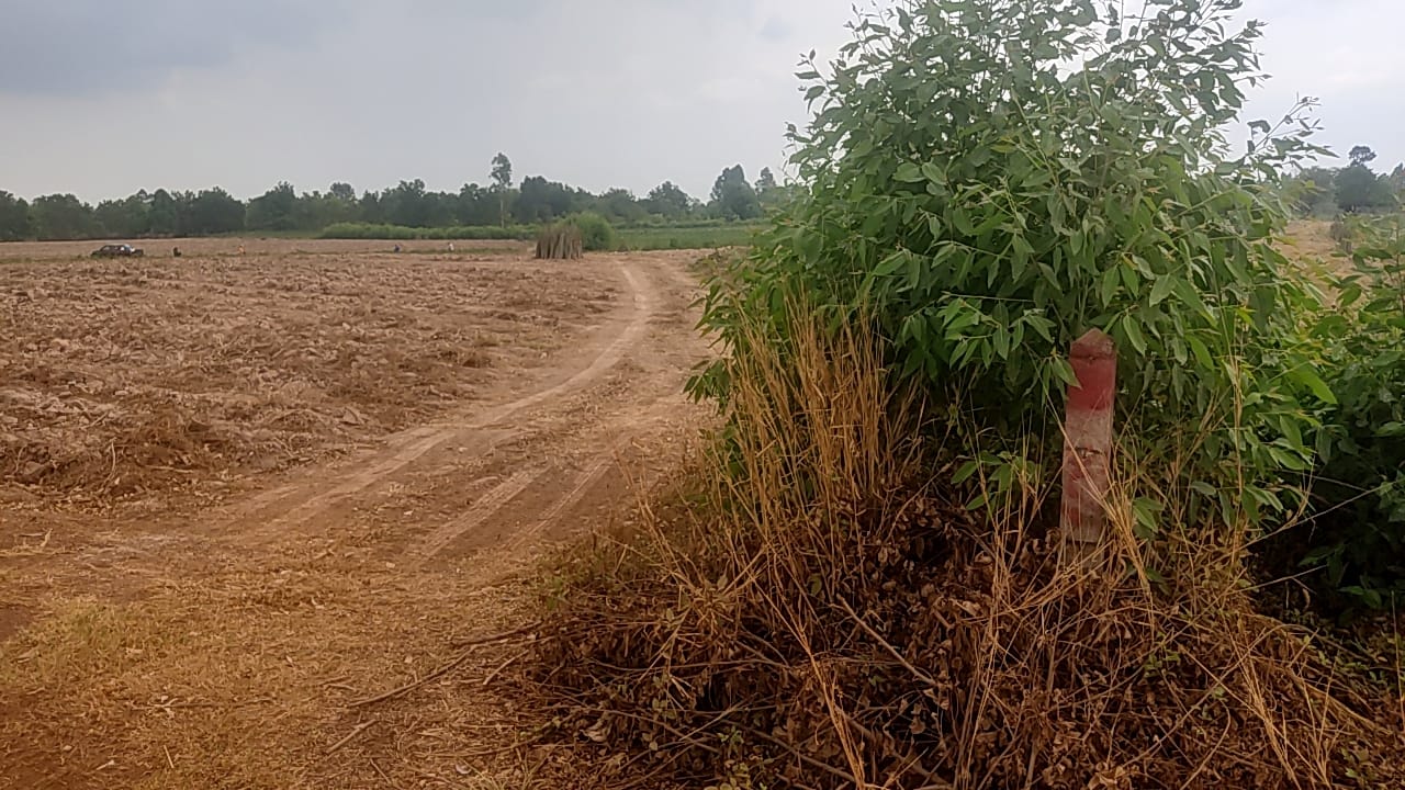 ขายที่ดินเพื่อการเกษตร