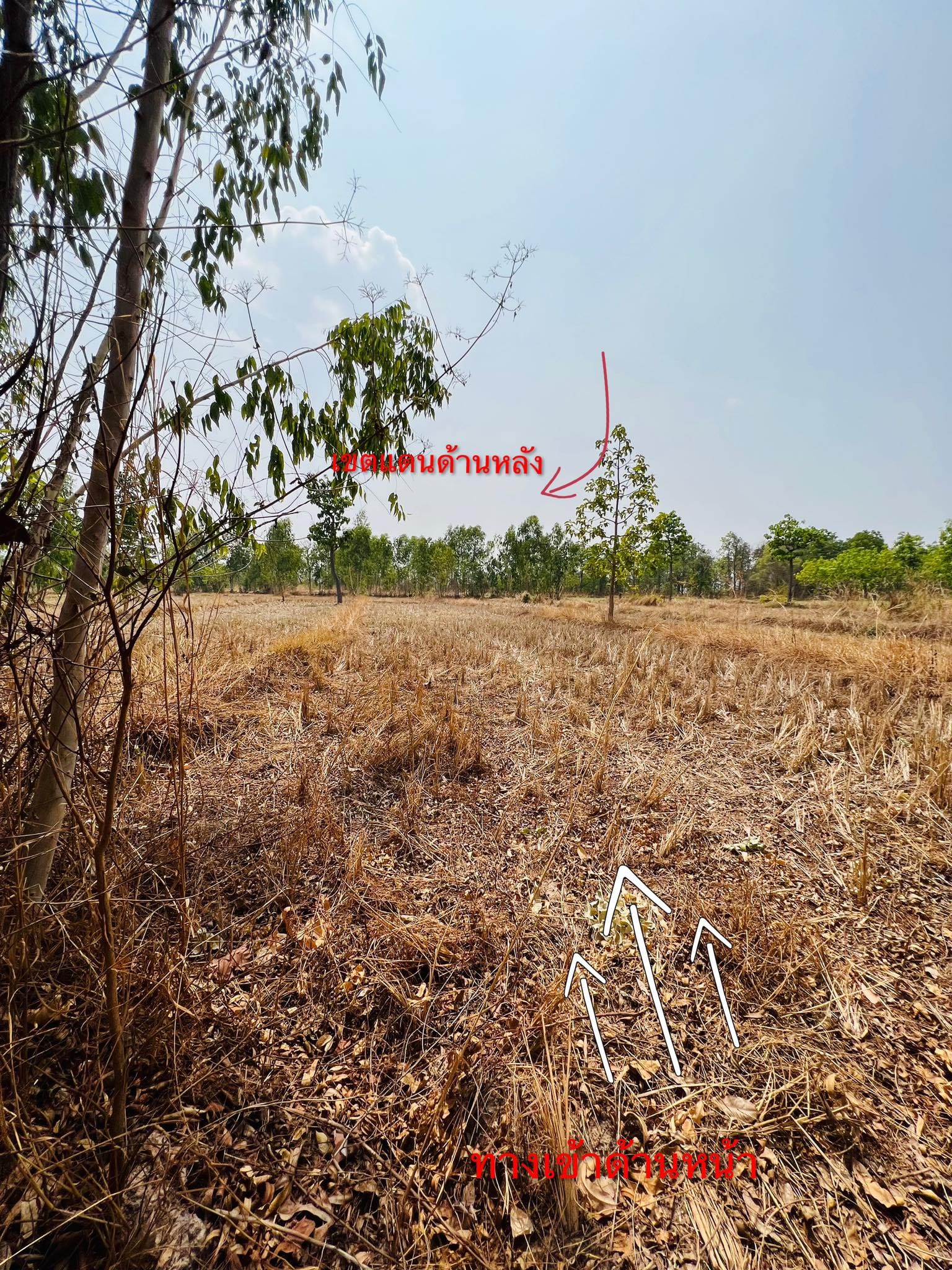 ขายที่ดินอำเภอสว่างแดนดิน ไฟฟ้า น้ำถึง 